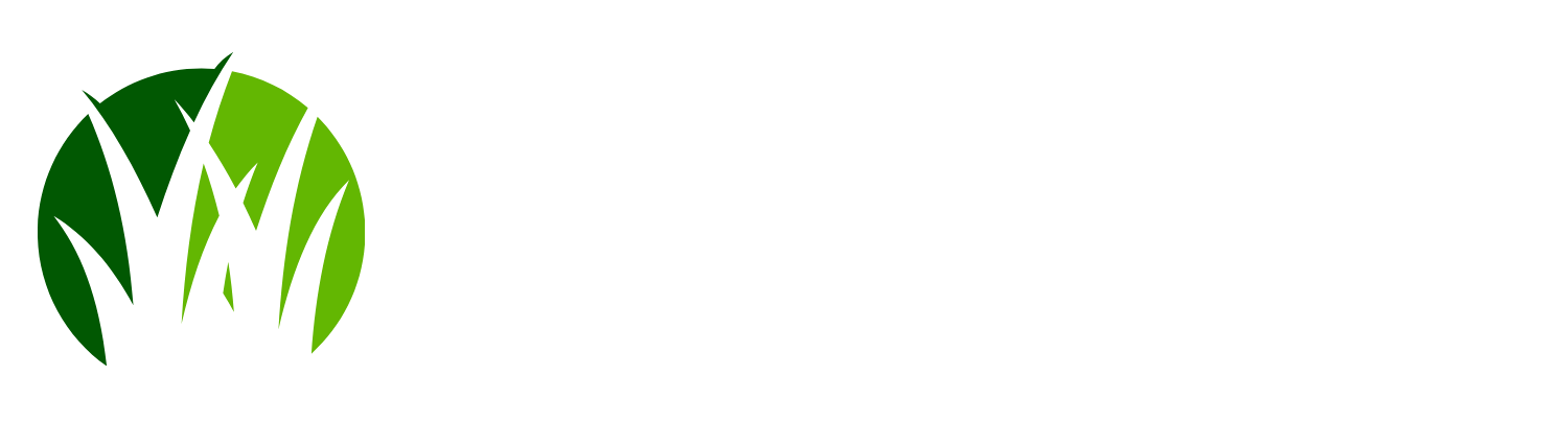 Next Level Quality Landscape